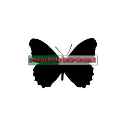 Cacyreus marshalli, plaga