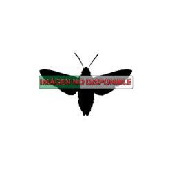 Gortyna xanthenes, plaga